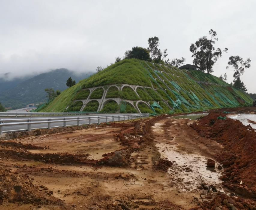 茶山镇边坡绿化工程